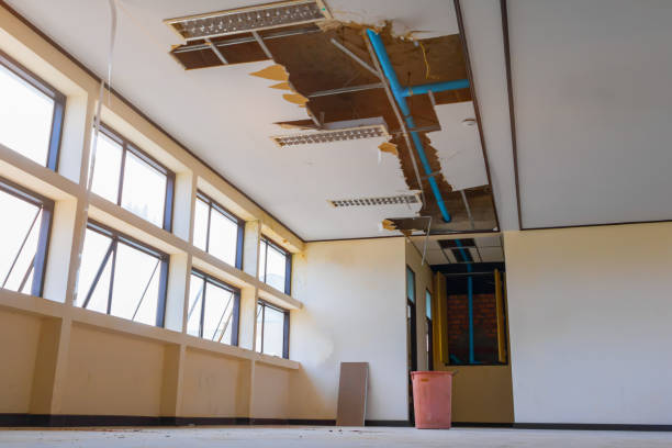  Cartervle, IL Water damage restoration Pros