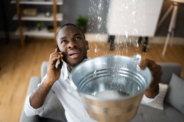 Best Residential water damage restoration  in Cartervle, IL