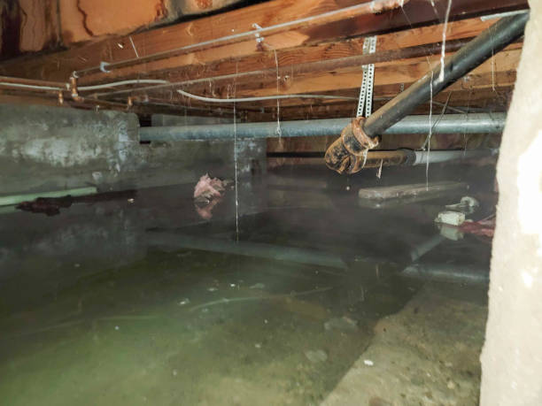 Best Emergency water damage restoration  in Cartervle, IL
