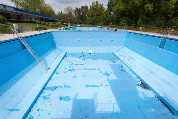 Best Water damage contractors near me  in Cartervle, IL