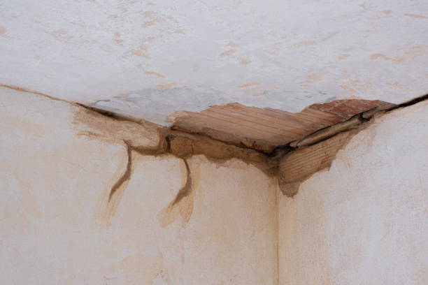 Best Fire Damage Restoration  in Cartervle, IL
