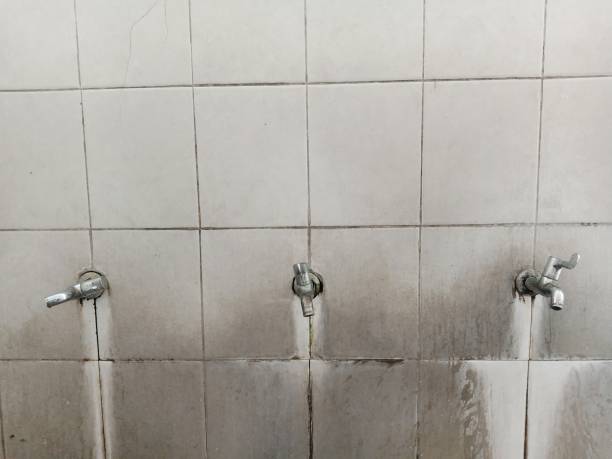 Best 24-hour water damage restoration  in Cartervle, IL