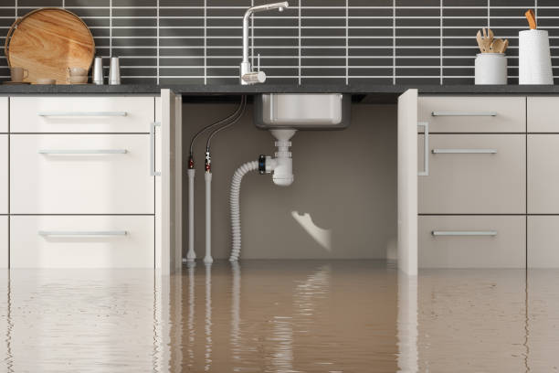 Best Professional water damage repair  in Cartervle, IL