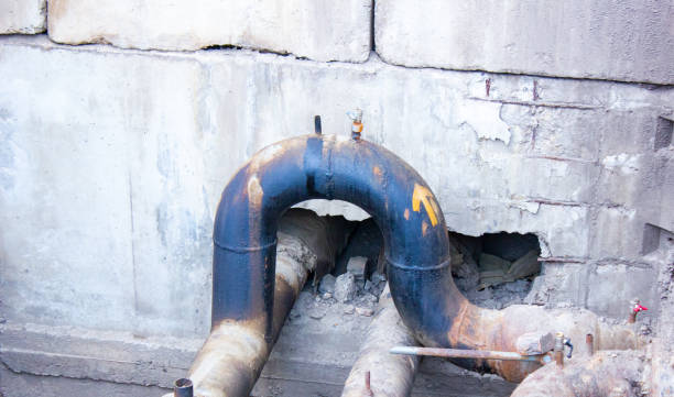 Best Ceiling water damage repair  in Cartervle, IL